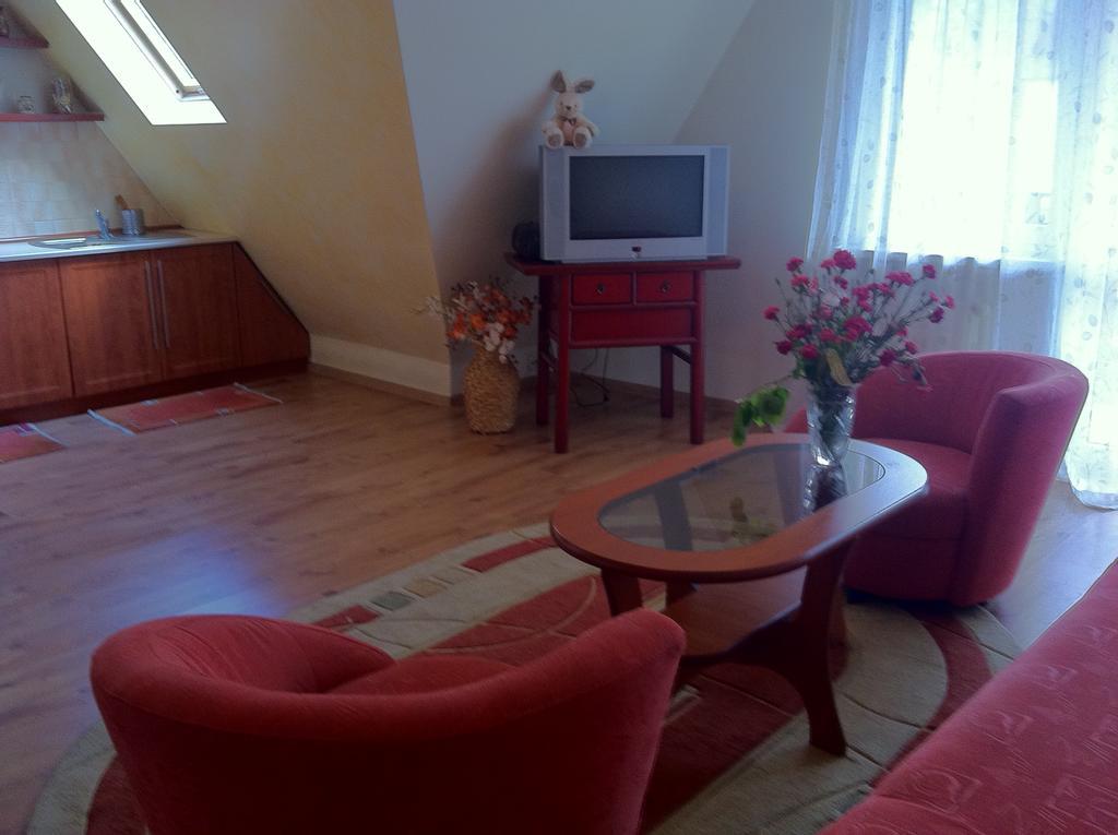Zakopane - Apartament Z Widokiem Kültér fotó
